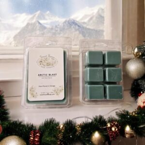 Two packages of six wax melt cubes sitting on a kitchen counter decorated for Christmas with a window looking out on an alpine storm.